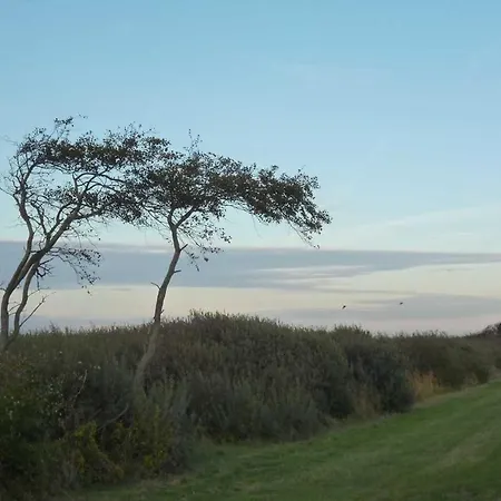 Sundevit Börgerende-Rethwisch