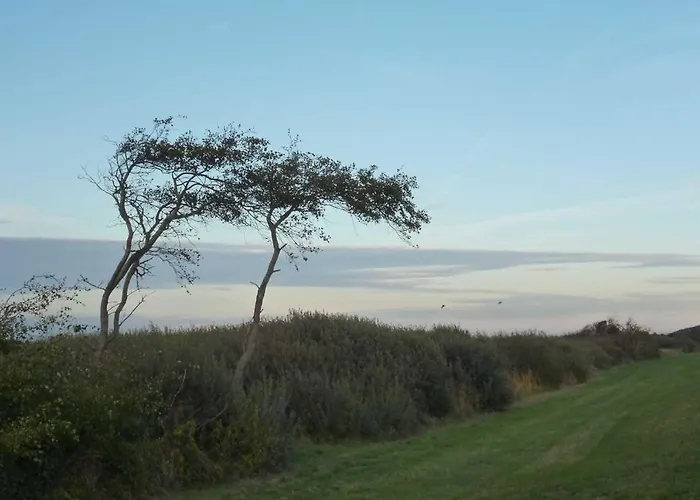 Sundevit Börgerende-Rethwisch