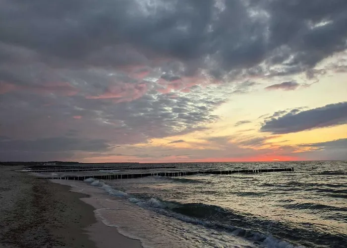 Sundevit * Börgerende-Rethwisch